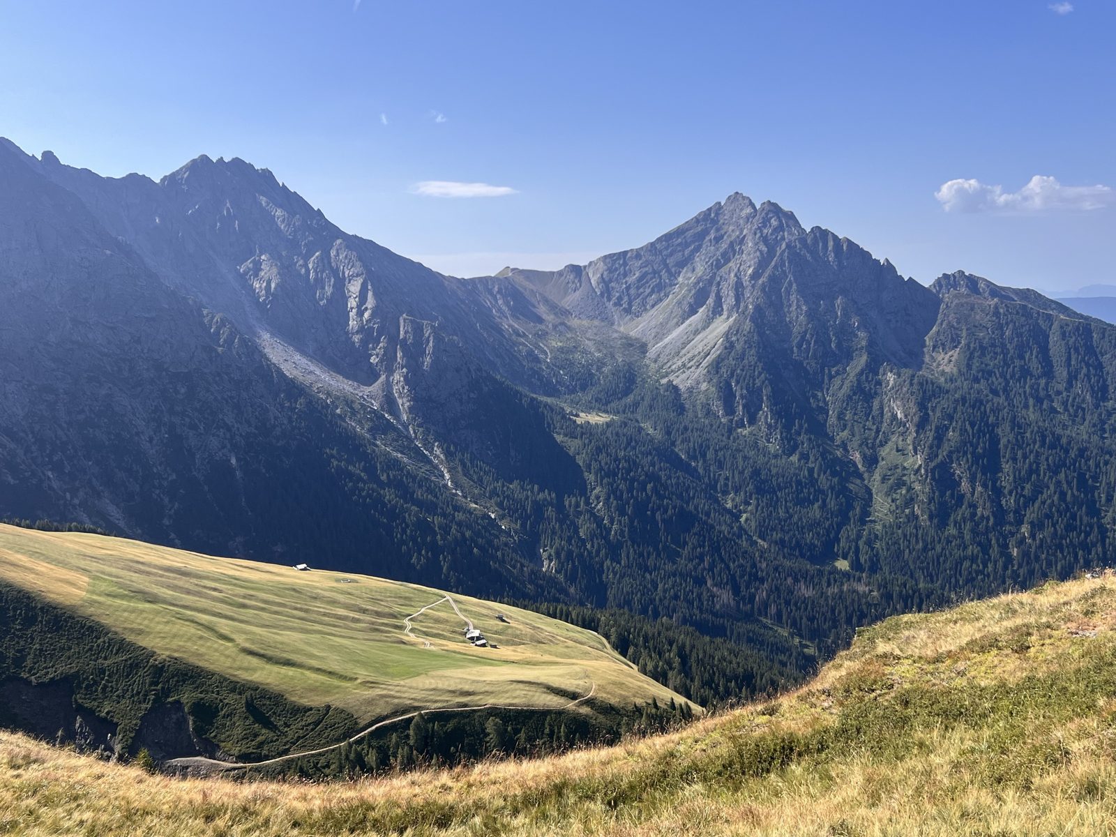 Videgger Assenwiesen mit Assenhütte im Hirzergebiet oberhalb von Schenna, dahinter die Sarntaler Alpen