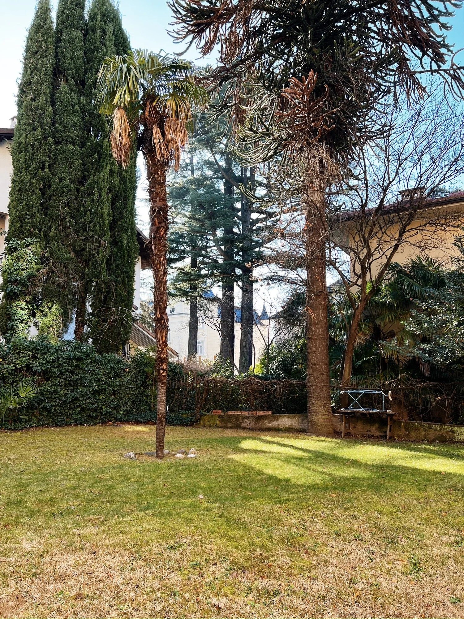 Garten und Bäume in Meran